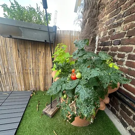 Apartment Rooftop Eiffel Tower Two Bedrooms 1200sq Ft *